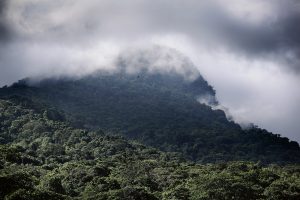 The María Lionza Pilgrimage in Venezuela 28 The María Lionza Pilgrimage in Venezuela