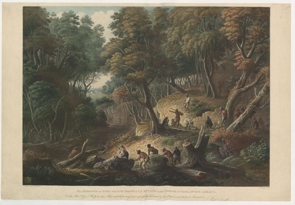 Caribbean Slavery through the 19th Century