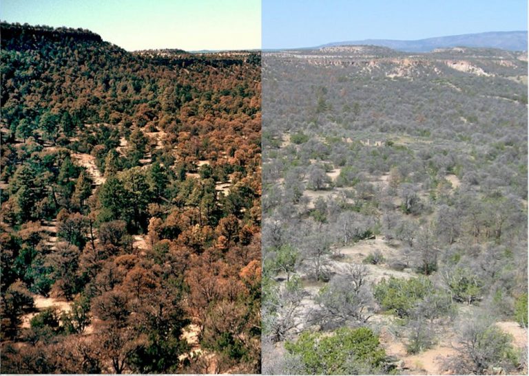 Climate Change is Driving Wildfires, and Not Just in California ...