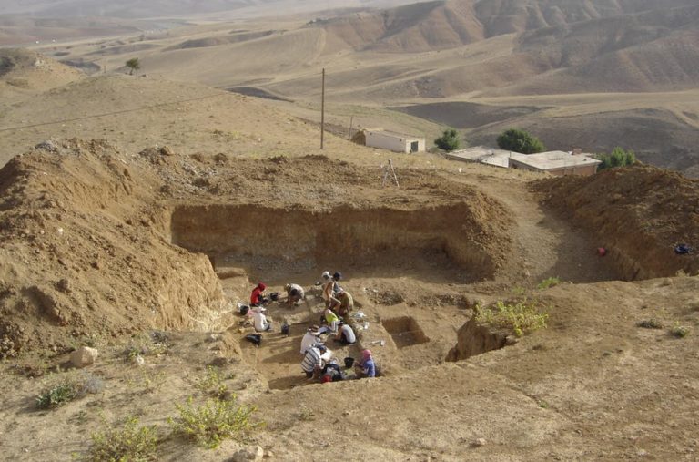 113018-28-History-Prehistoric-Archaeology-Evolution-Africa