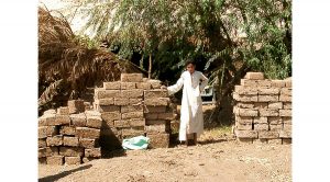 Building the City in Ancient Egypt