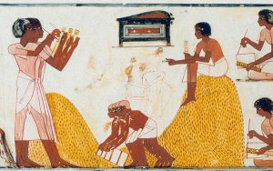 City and Regional Government in Ancient Egypt 23 City and Regional Government in Ancient Egypt