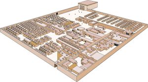 Towns and Houses in Middle and New Kingdom Egypt