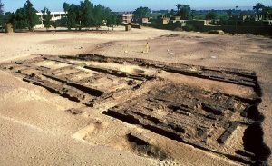 Towns and Houses in Middle and New Kingdom Egypt