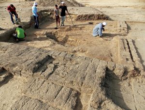 Towns and Houses in Middle and New Kingdom Egypt