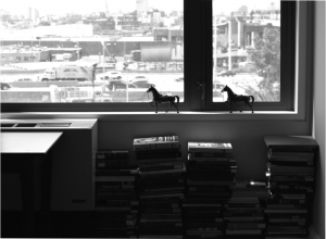 Unsentimental Vistas: Berenice Abbott and 20th-Century Interwar Urban Photography 23 Unsentimental Vistas: Berenice Abbott and 20th-Century Interwar Urban Photography