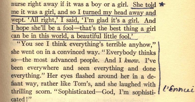 121118-44-History-Literature-Sylvia-Plath-Great-Gatsby