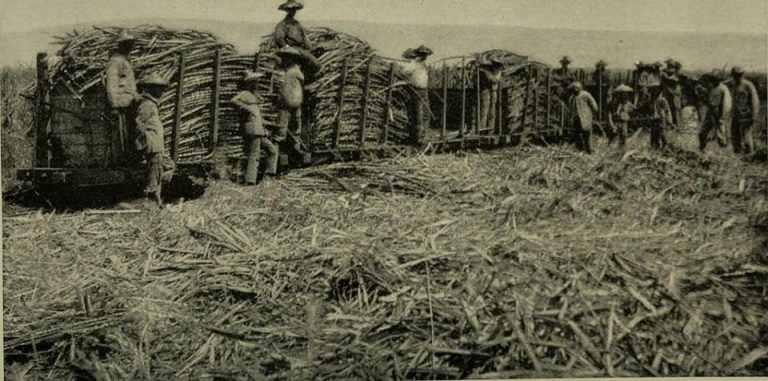 121918-30-History-Environment-Hawaii