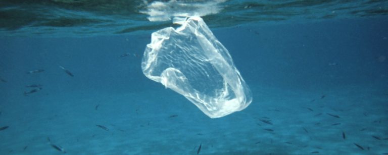 123018-19-Climate-Change-Environment