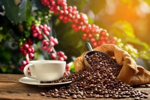 Coffee: 60% of Wild Species at Risk of Extinction Due to Climate Change 6 011719-11-Coffee-Climate-Change-Environment