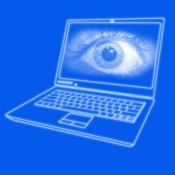 Surveillance, Criminal Law, and Sovereignty 6 Surveillance, Criminal Law, and Sovereignty