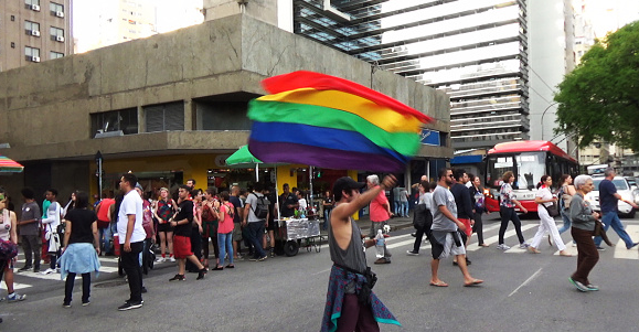 LGBTQ+ Resistance under Bolsonaro