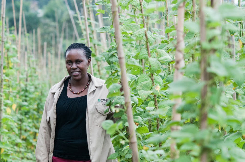 We Can't Save Everything from Climate Change - Here's How to Make Choices