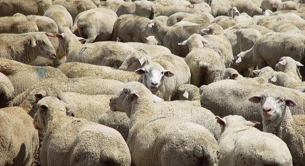 012519-27-Press-Journalism-Media-Politics