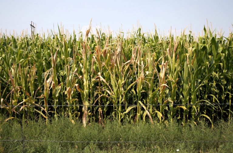 012519-30-History-Environment-Climate-Change