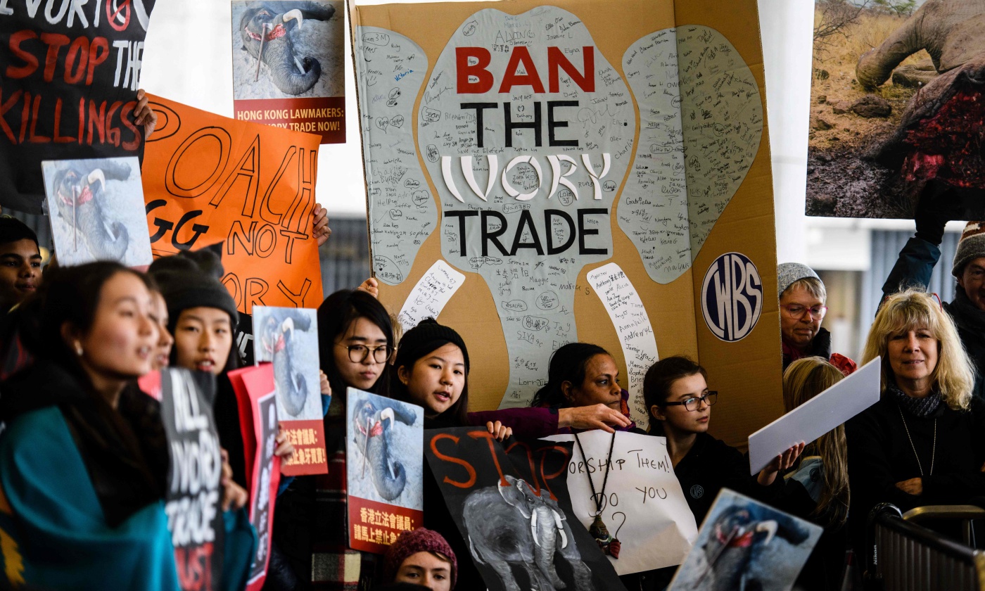 HONG KONG-POLITICS-CONSERVATION-ANIMAL-IVORY