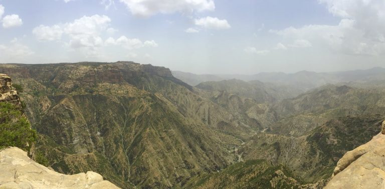 012619-12-Archaeology-Biology-Evolution-Homo-Prehistoric