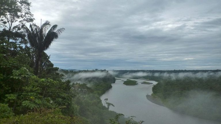 Deep in the Amazon, a Tiny Tribe Is Beating Big Oil 12 012819-62-Amazon-Rainforest-Brazil-Environment-Climate-Change