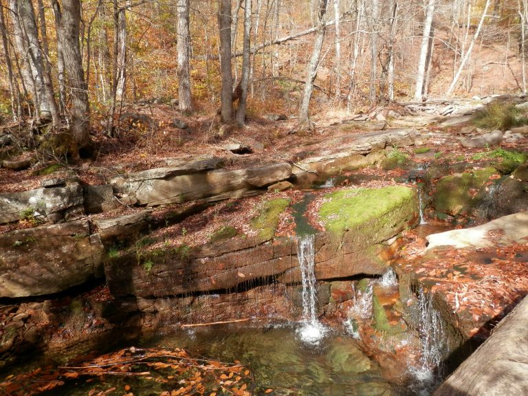 013019-01-Environment-Climate-Change