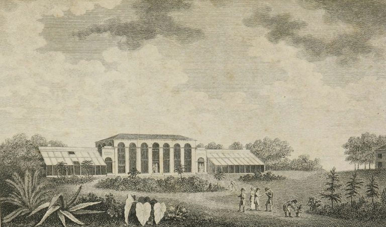 013119-30-History-Alexander-Hamilton-Medicine-Health