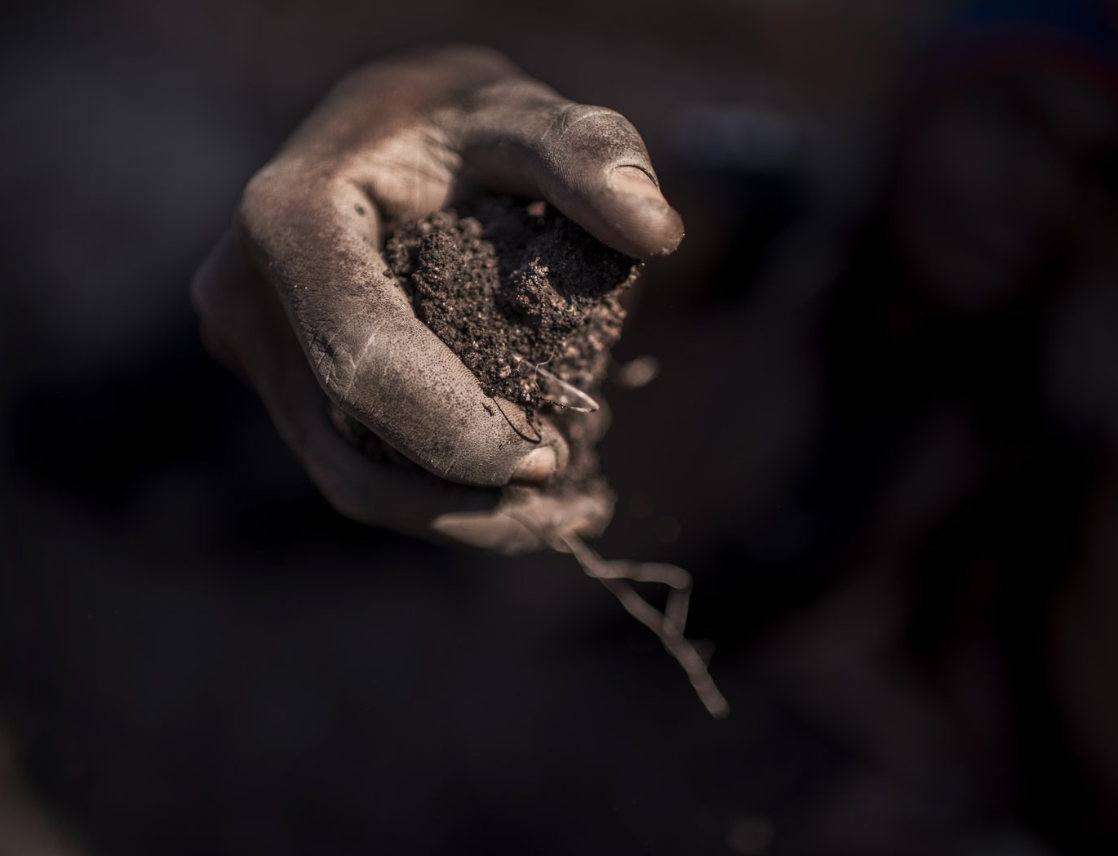 Modern Slavery: An Exploration of Its Root Causes and the Human Toll