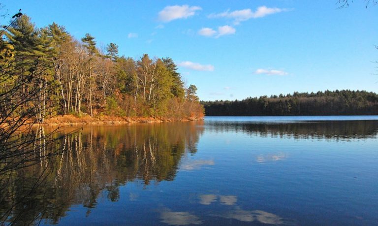 021319-26-History-Henry-David-Thoreau