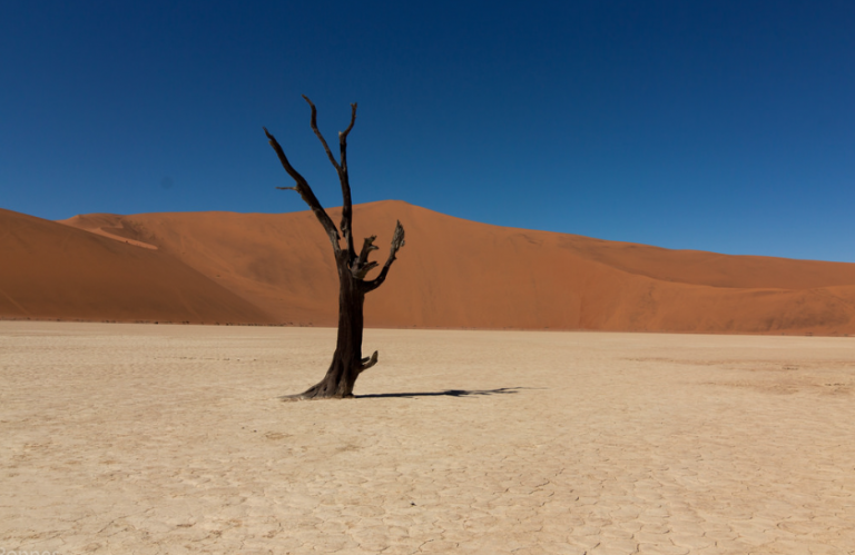 021519-50-Environment-Climate-Change-Economy