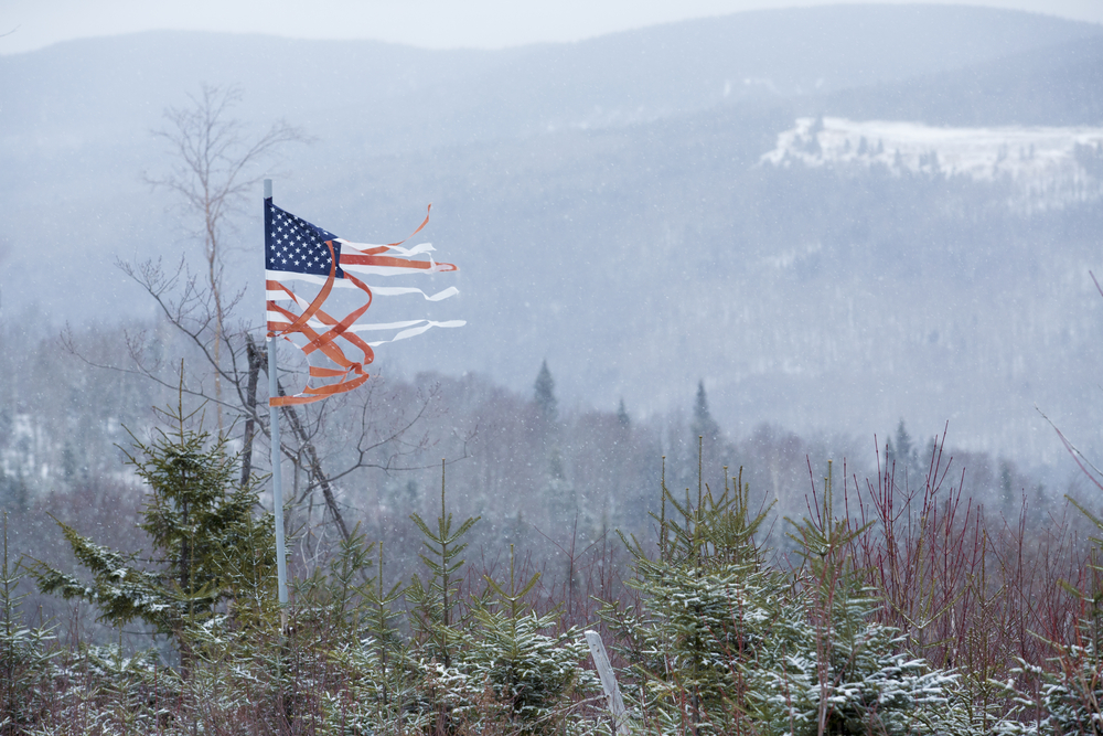 Freedom Rings Faintly from the U.S. 3 Freedom Rings Faintly from the U.S.