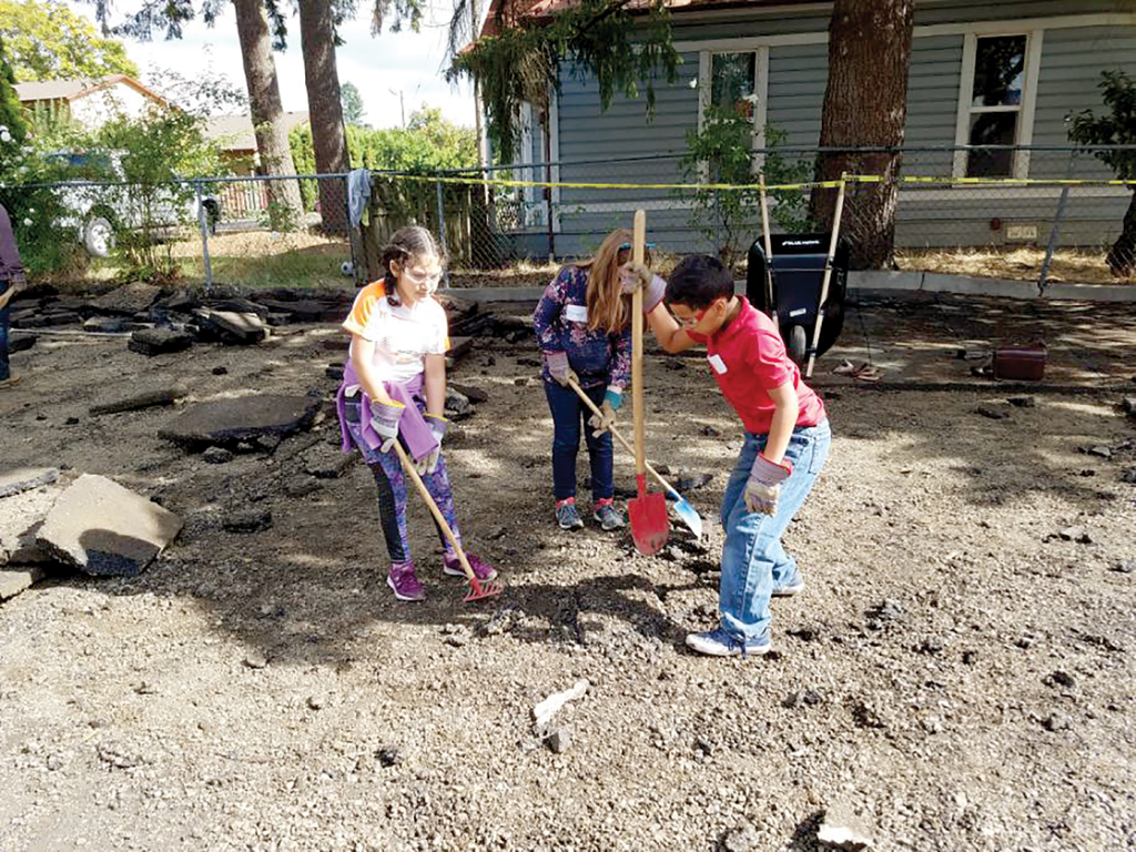 How Removing Asphalt Is Softening Our Cities