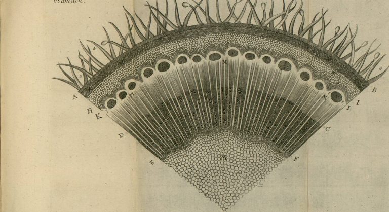 030319-56-History-Biology-Science-Botany-Nehemiah-Grew