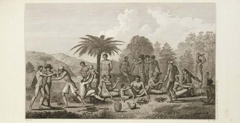 030319-63-History-Botany-Biology-Jaques-Labillardiere