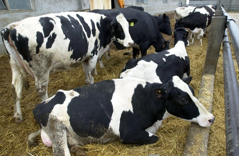 A Game Plan to Win the Coming Fight against Superbugs 3 A Game Plan to Win the Coming Fight against Superbugs