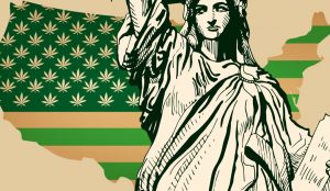 031319-38-Marijuana-Drugs