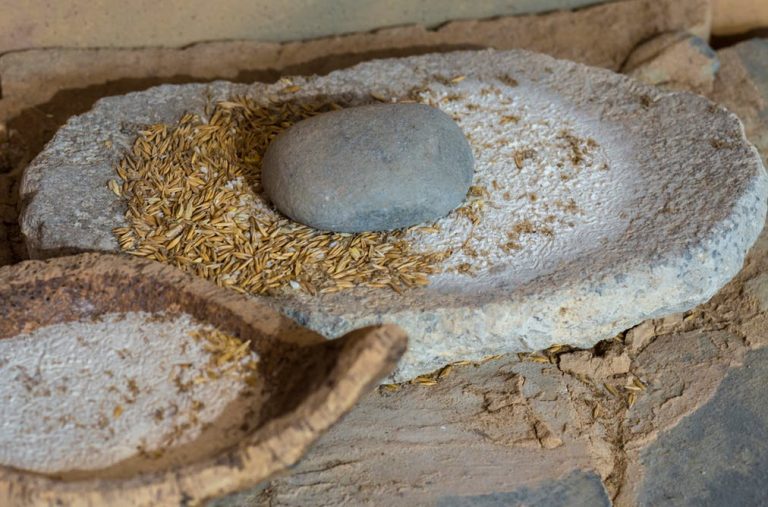 031419-55-Ancient-History-Food-Agriculture-Diet