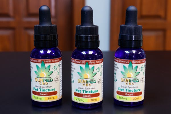 Weed and CBD Not Good for Pets - A Vet Toxicologist Explains