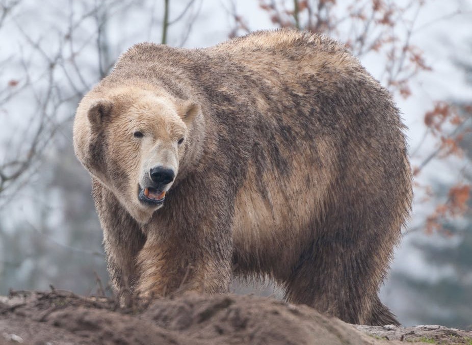 032419-36-Climate-Chante-Environment