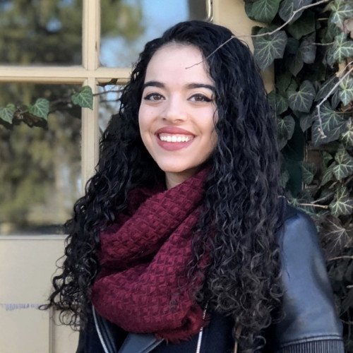 Ilhan Omar and the Systematic Silencing of Israel Criticism