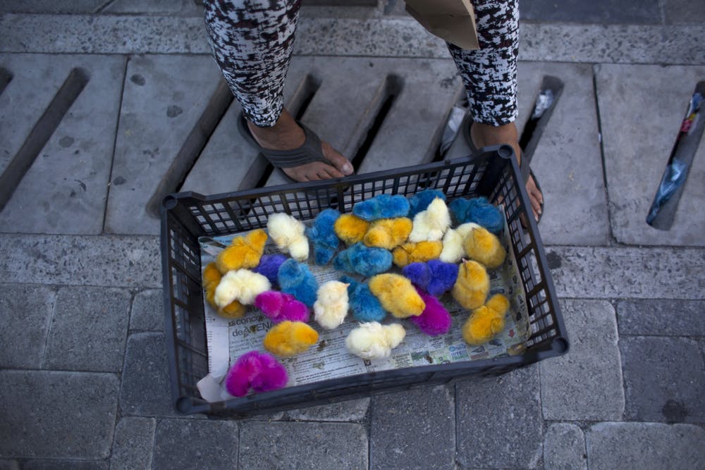 Migrants' Stories: Why They Flee