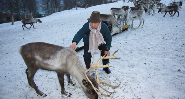 Traditional Herders Sharing Knowledge to Cope with Changing Climate