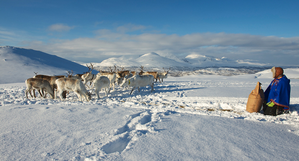 Traditional Herders Sharing Knowledge to Cope with Changing Climate
