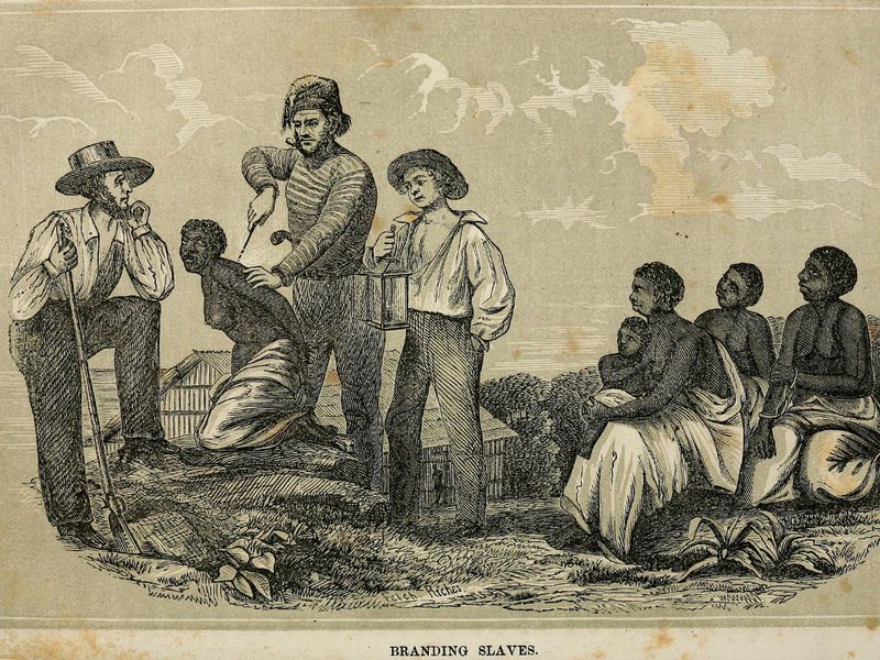 Black Plantation Slave Sex Toons Telegraph 3189