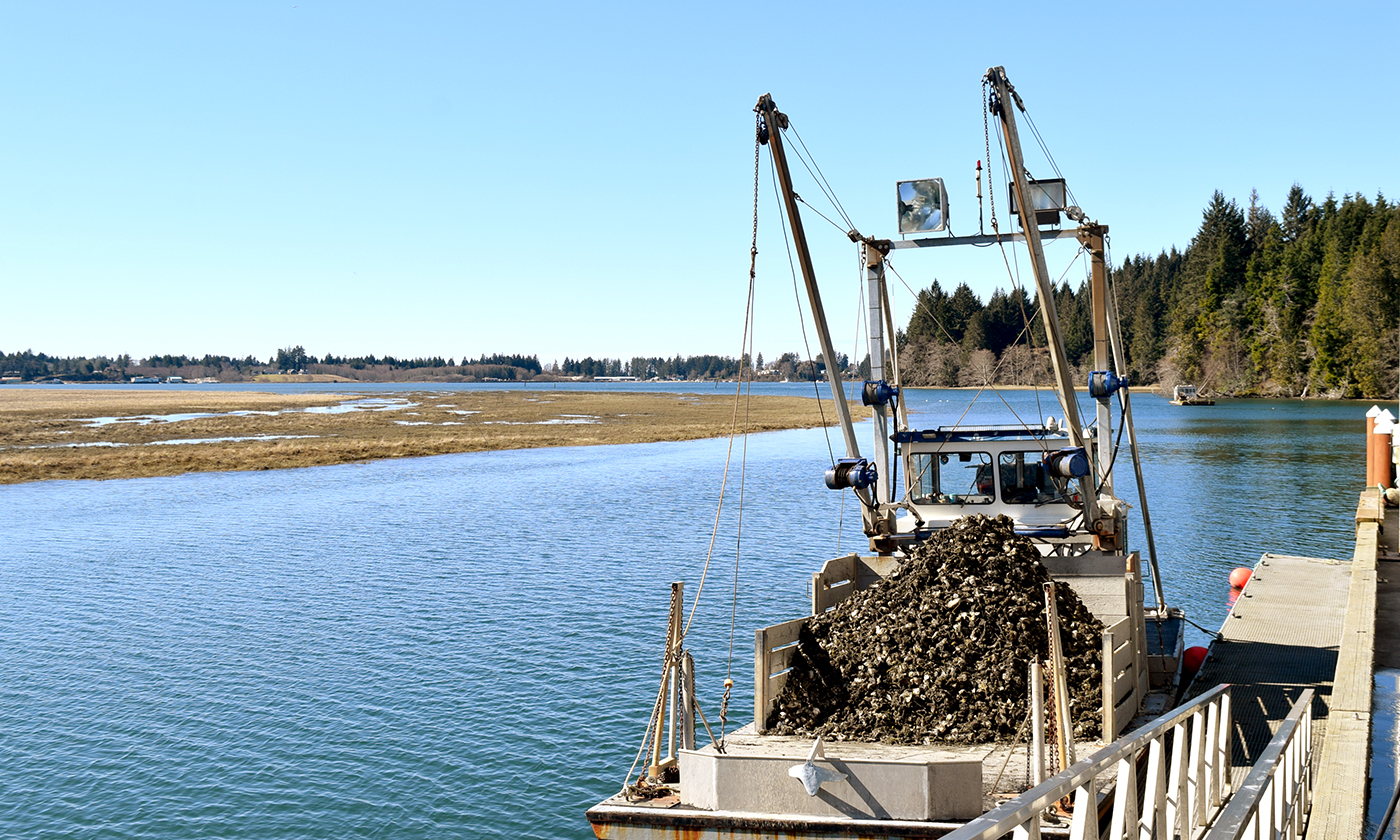 041719-18-Immigration-Trump