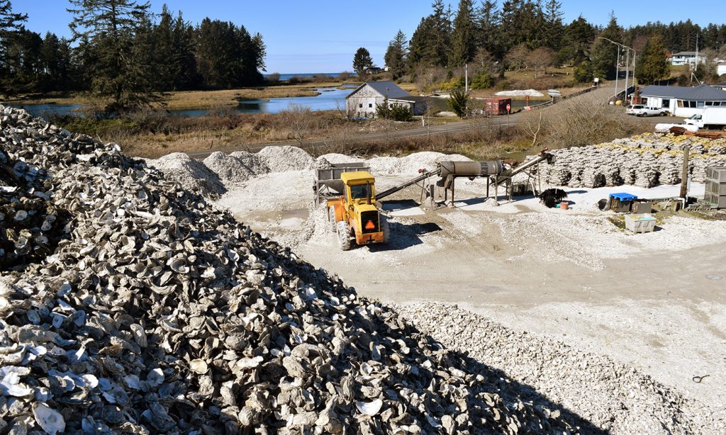 How the Disappearance of Immigrant Workers Created a Movement in a County That Voted for Trump