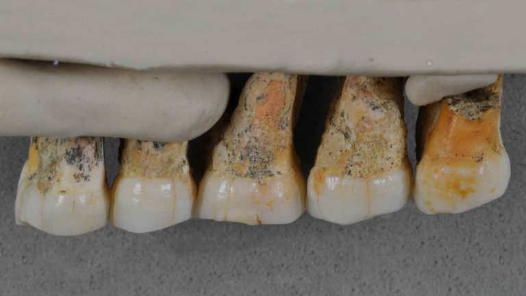 042719-62-Prehistoric-Biology-History-Evolution