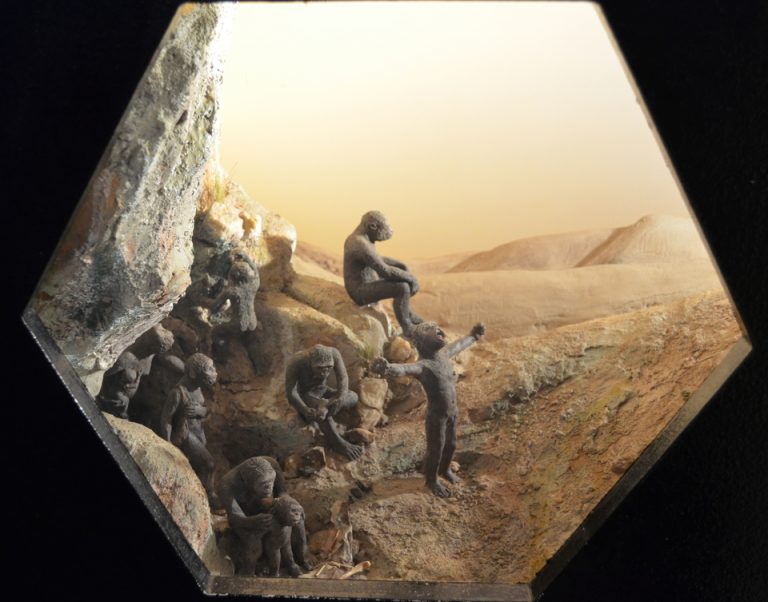 051219-09-History-Prehistoric-Biology-Evolution