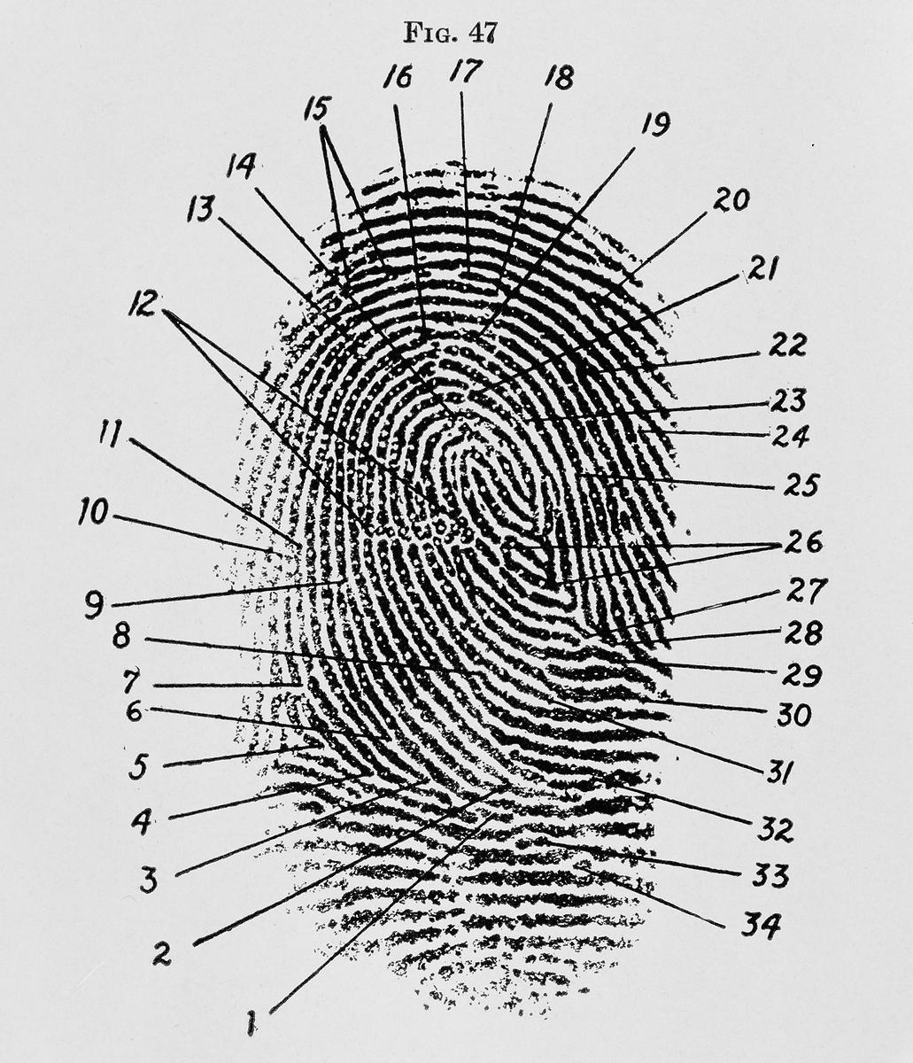 Visible Proofs: A History of Forensic Medicine