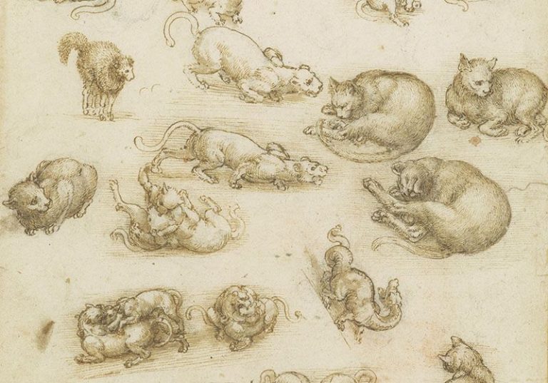 052119-79-History-Renaissance-Art-Animals-Leonoardo-da-Vinci