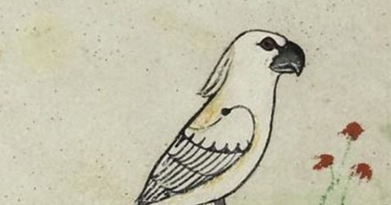 052419-43-History-Medieval-Middle-Ages-Australia-Trade