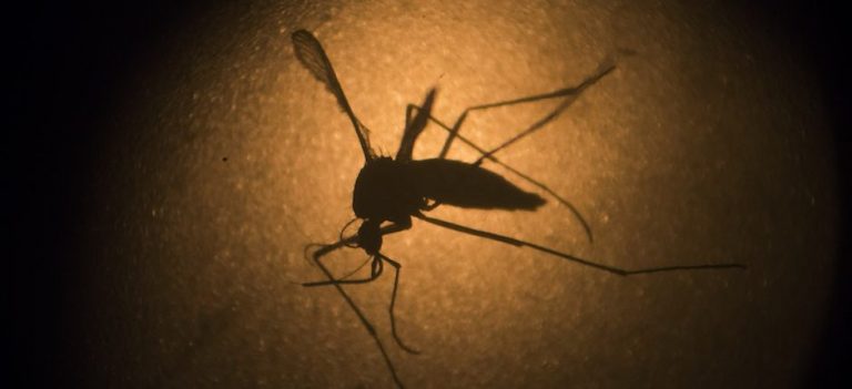 052519-33-History-American-Revolution-Independence