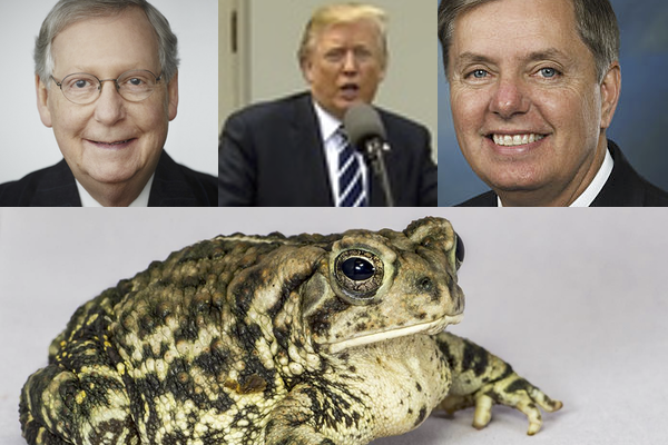 052619-02-Politics-Repoublican-Trump